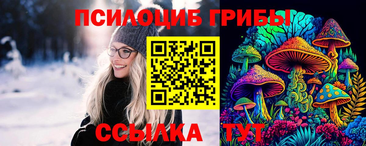 Галлюциногенные грибы ЛСД  Вход с VPN  Тулун 